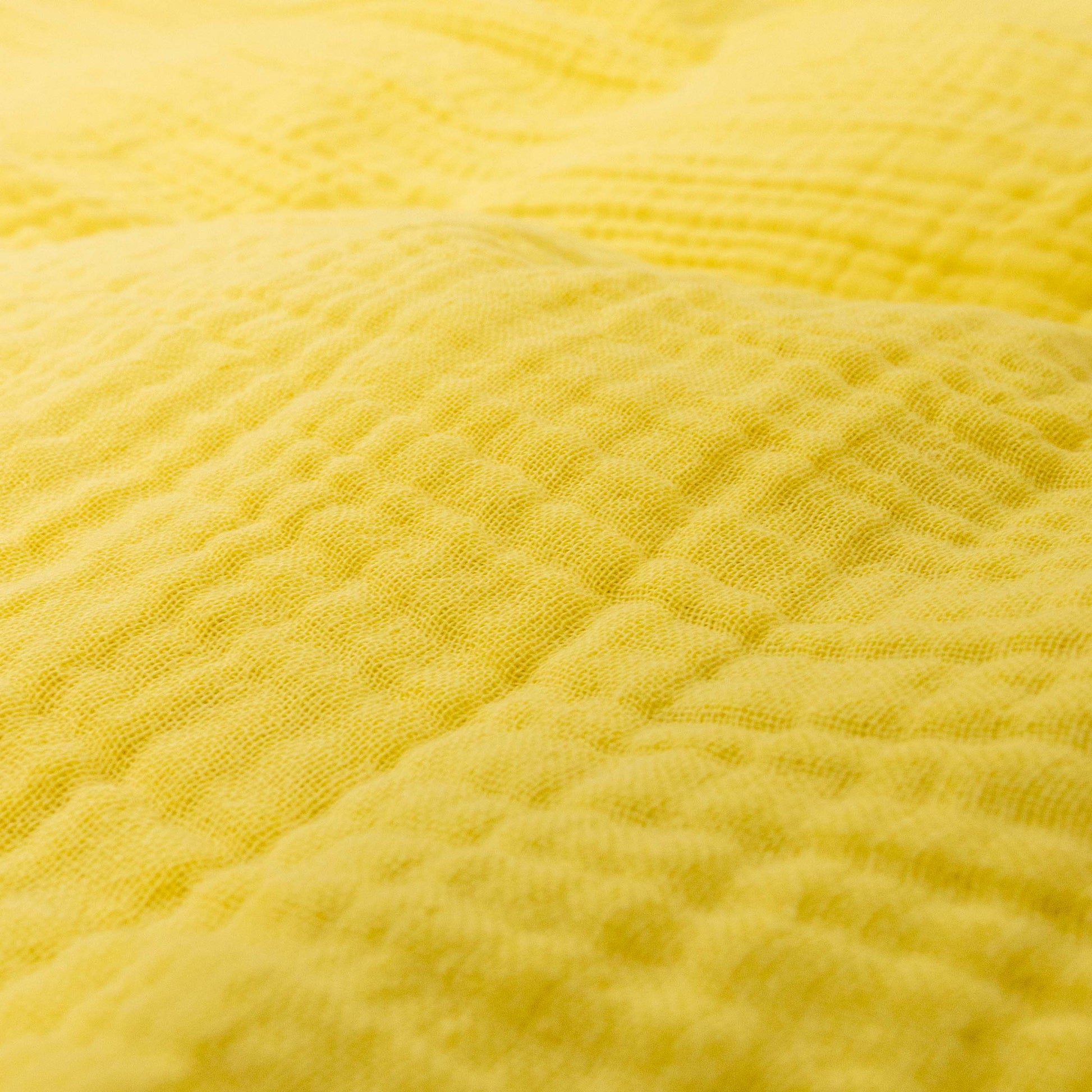 Solsikke